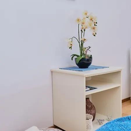 Apartment Istra 4 Star New 2022
